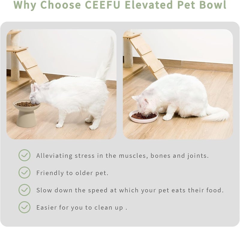 CEEFU 2 Elevated Cat Bowls Extra Wide for Food & Water – Whisker Fatigue, Ceramic Wide Shallow Food Dish, Lead & Cadmium Free, Raised Height for Cats, Pottery Clay (Not Glazed) - Image 4